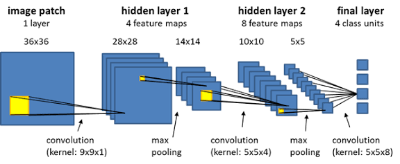 Are Convolutional Neural Networks obsolete? No. They evolve.