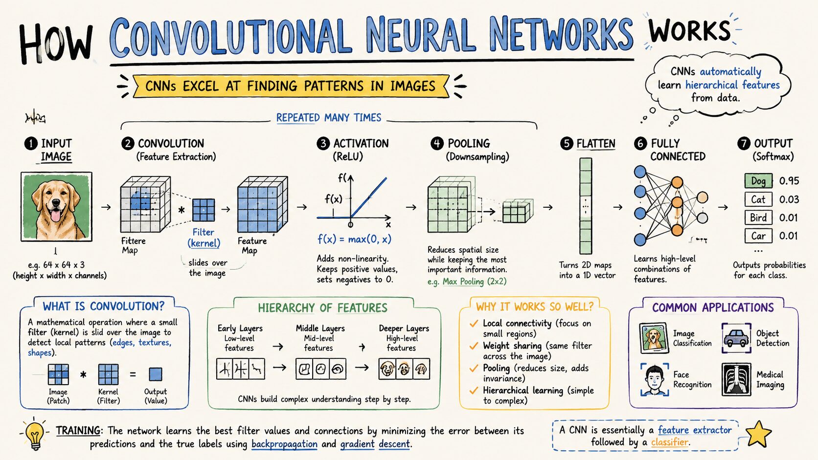 An infographic explaining how convolutional neural network works.